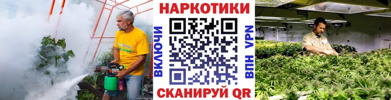 Купить наркотик аптеки Плёс Конопля  APVP  ГАШ  Меф  Псилоцибиновые грибы  КОКАИН 
