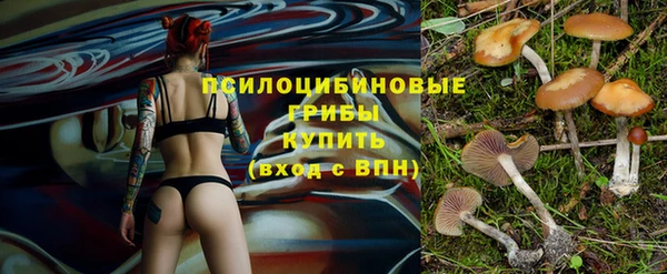 ECSTASY Балахна