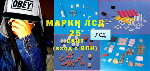 стаф Баксан