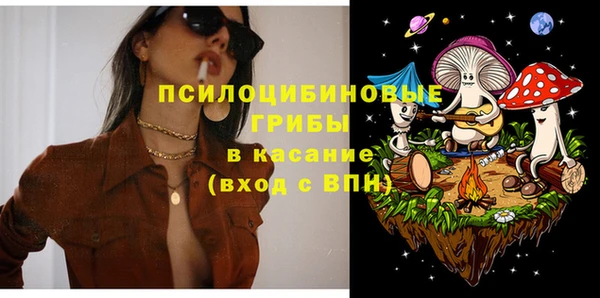 стаф Баксан